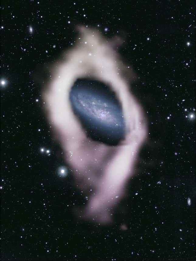 ASKAP tarafından tespit edilen galaksinin ve kutup halkasının tam görüntüsü.