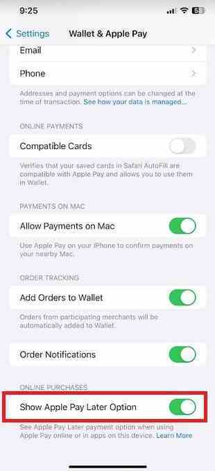 Apple Pay Later'ı kullanacaksanız Cüzdan ve Uygulamalar bölümünde bulunan bu ayarı açtığınızdan emin olun.  Apple Pay menüsü - ABD'deki tüm iPhone, iPad kullanıcıları artık Apple'dan 6 hafta süreyle faizsiz 1.000 ABD dolarına kadar borç alabilecek