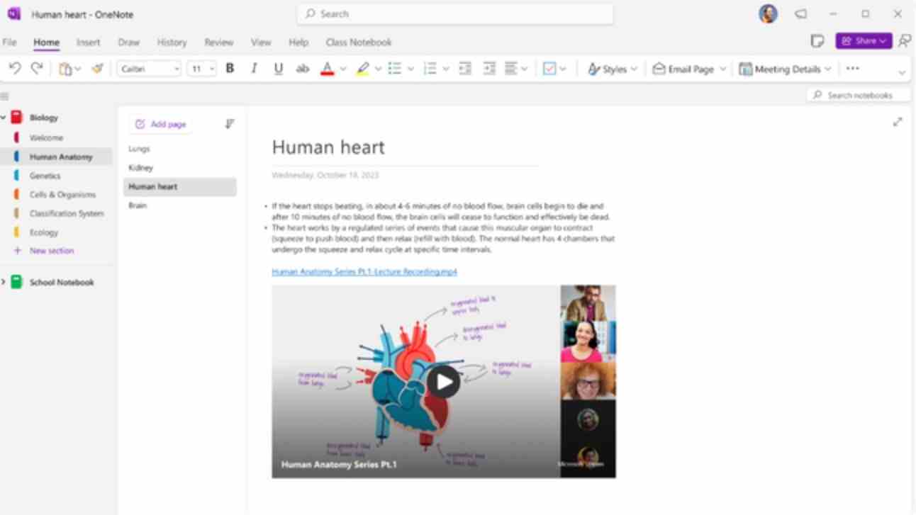 OneNote satır içi videolarının resmi