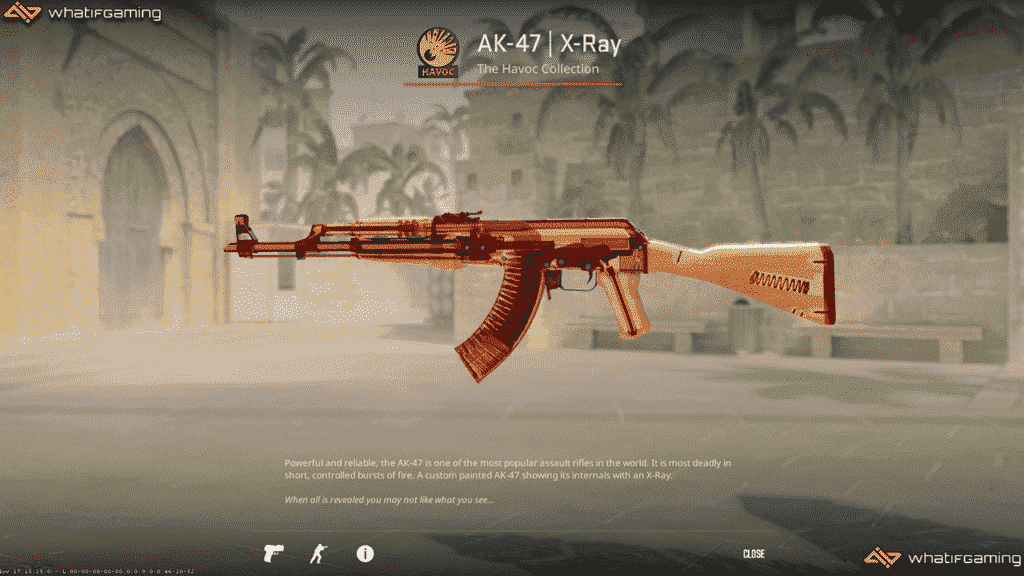 CS2 AK-47 X-Ray'in fotoğrafı