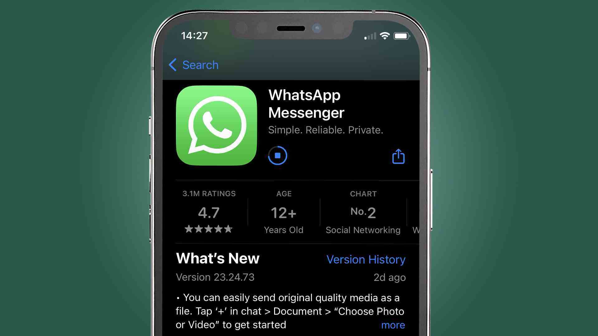 Yeşil arka planda WhatsApp uygulamasını gösteren bir iPhone