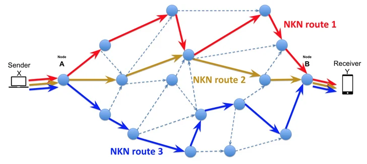 NKN Blockchain Teknolojisi