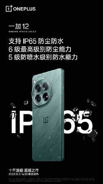 Resmi OnePlus Weibo sayfasından, OnePlus 12'nin IP65 derecesine sahip olduğunu gösteren bir grafik