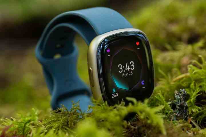 Fitbit Sense 2 yosun içinde.