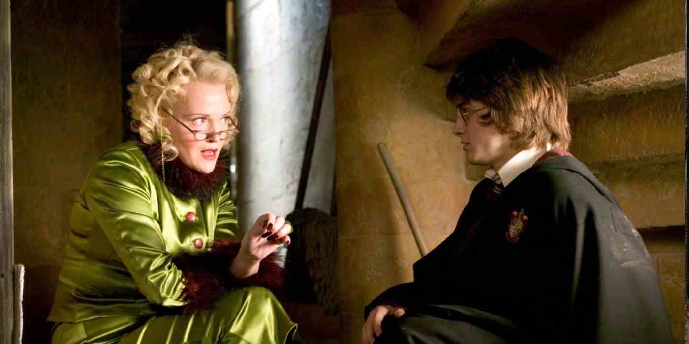 Rita Skeeter ve Harry Potter, Harry Potter ve Ateş Kadehi'ndeki Süpürge Dolabı'nda Konuşuyor