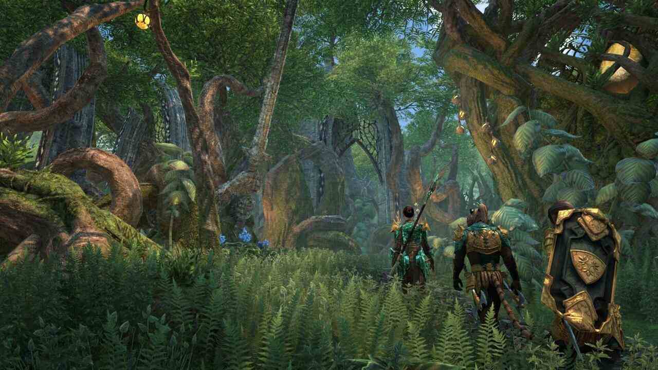 Valenwood İlhakı, West Weald'da neredeyse bir gecede ortaya çıkan büyülü bir yağmur ormanıdır.