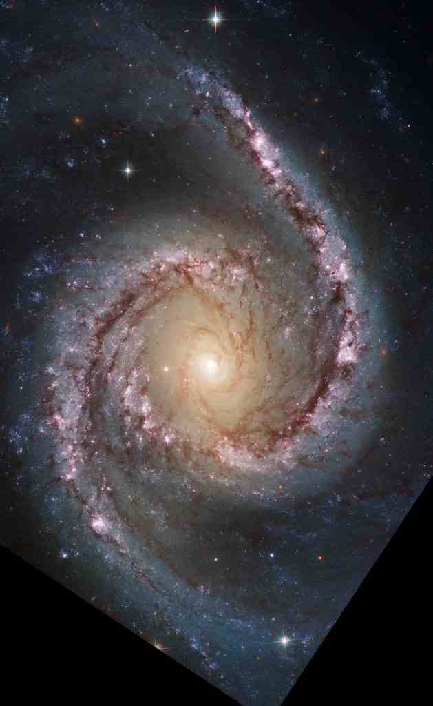 Hubble Sarmal Gökadası NGC 1566