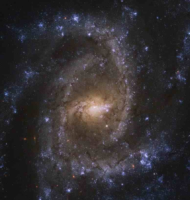 Hubble Sarmal Gökadası NGC 2835