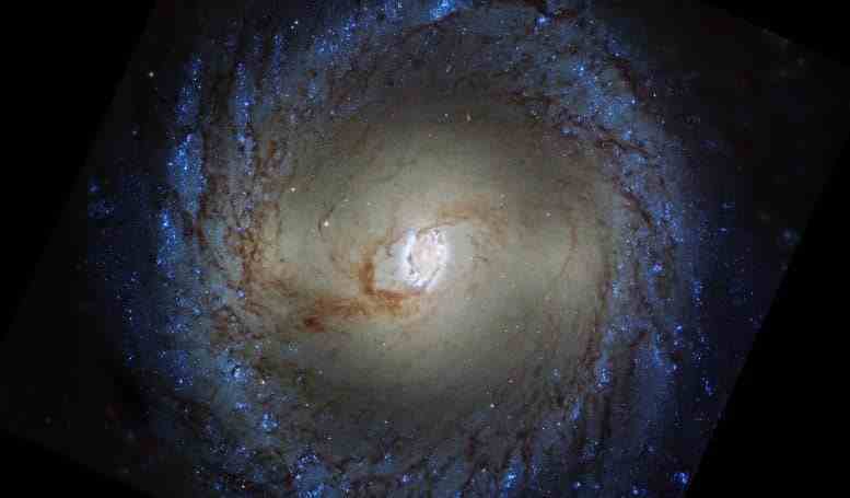 Hubble Sarmal Gökadası NGC 3351