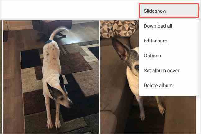 Google Fotoğraflar'daki Diğer Seçenekler menüsündeki Slayt gösterisi.