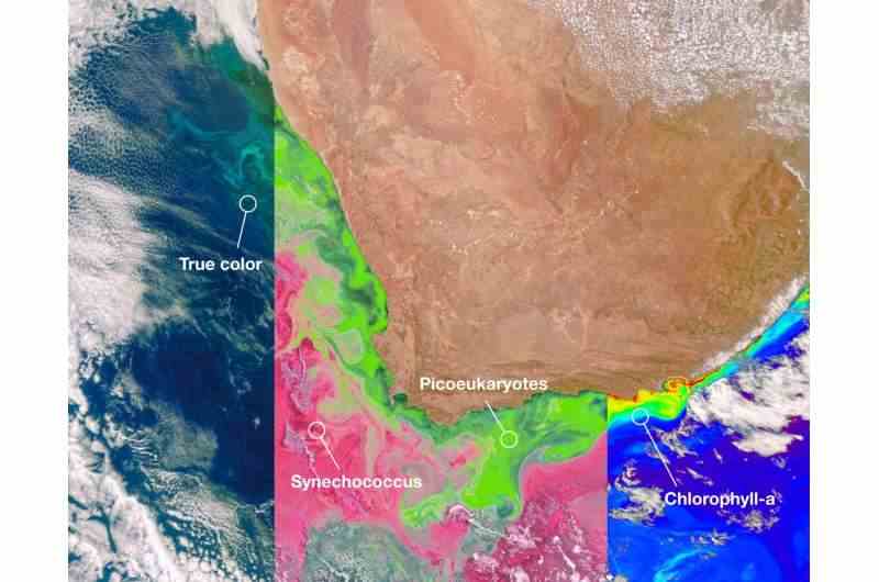 NASA'nın yakın uzay ağı, PACE iklim misyonunun 'eve telefon etmesini' sağlıyor