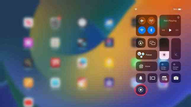 ipad'deki ekran kayıt simgesinin ekran görüntüsü