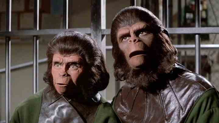 Kim Hunter, Zira ve Roddy McDowall, Escape from the Planet of the Apes'te kafeslenen Cornelius rolünde