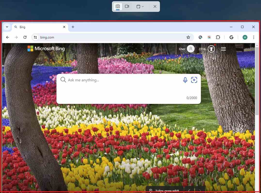 Ekran Alıntısı Aracı Chrome ekran görüntüsü