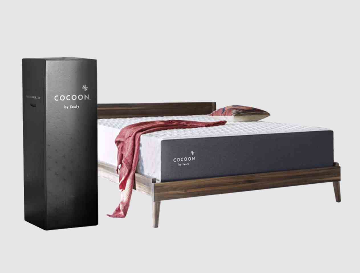 Cocoon by Sealy Chill yatak